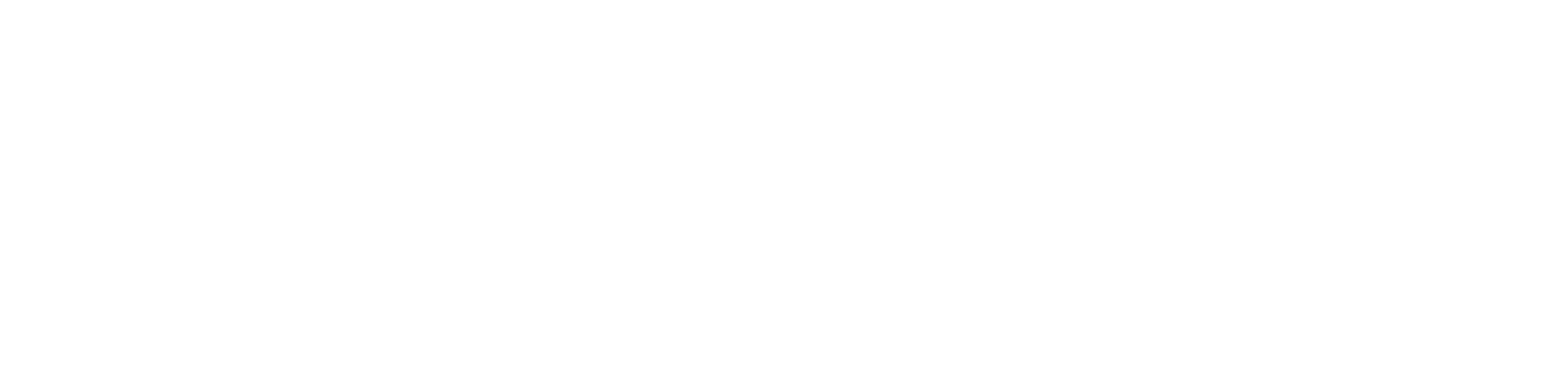 Netacuv Logo