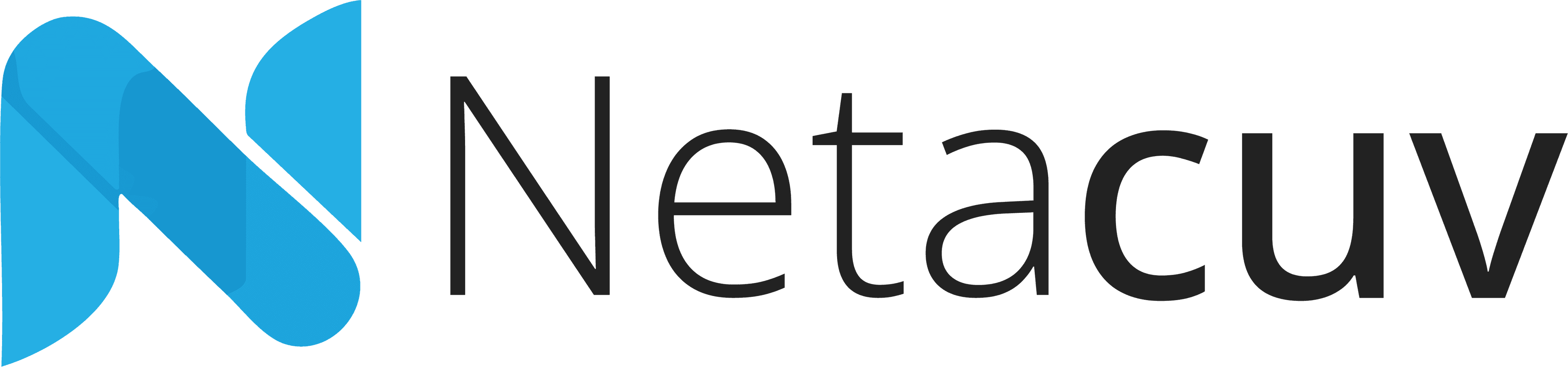 Netacuv Logo
